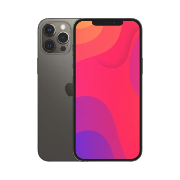 iPhone 12 Pro Max 256GB